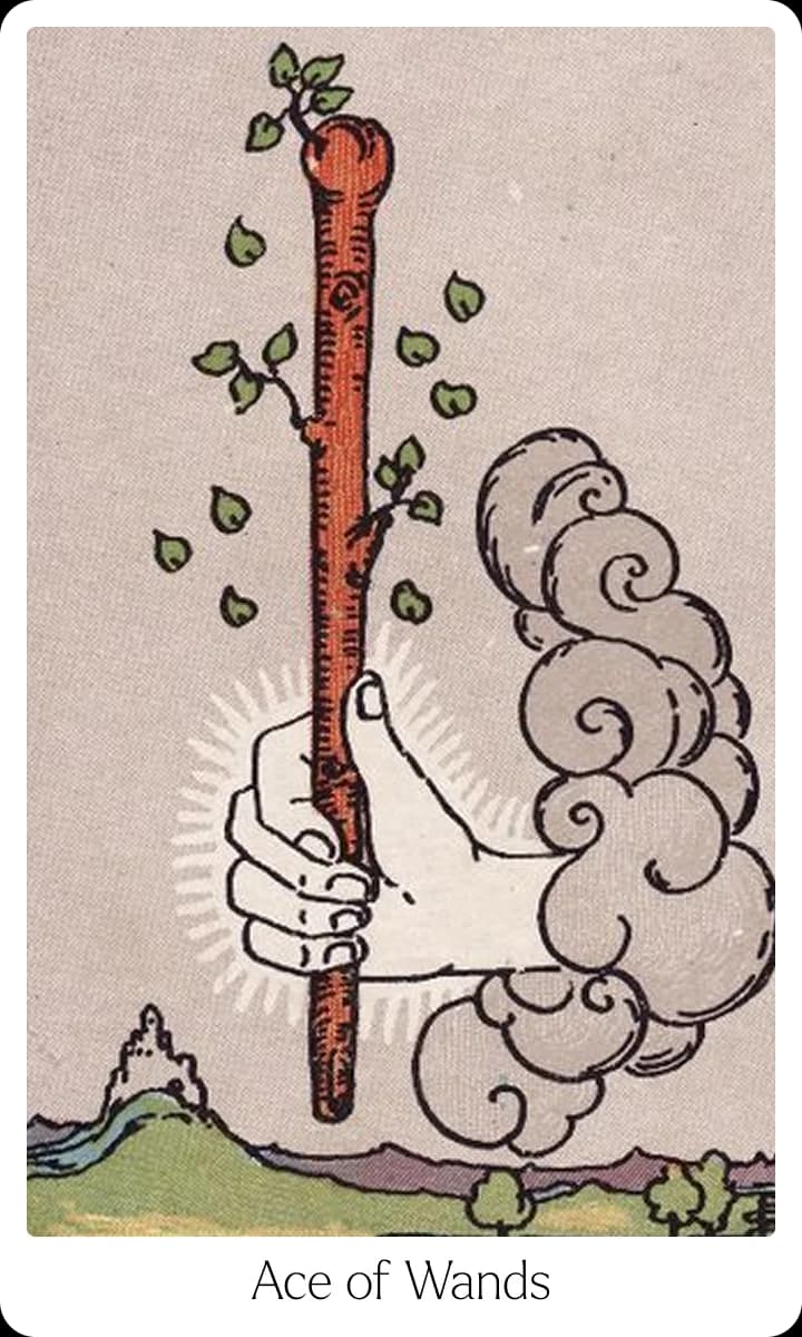 Ace of Wands tarot card — Original 1909 Rider-Waite-Smith illustration