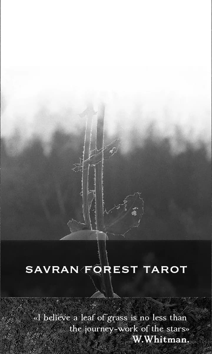 Savran Forest -Tarot deck box